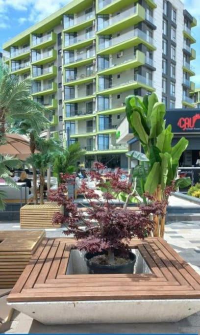 Alezzy Beach Apartament Prima Linie La Mare Năvodari Buitenkant foto